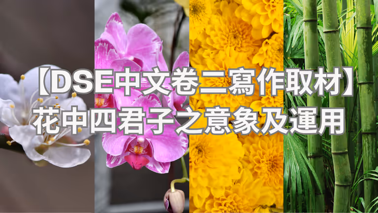 【DSE中文卷二寫作取材】 花中四君子的意象及寫作運用
