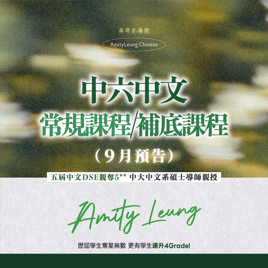 中六DSE 經致中文常規課程